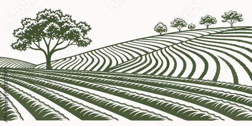 A serene landscape of rolling hills covered in lush green grass and dotted with trees. Vector