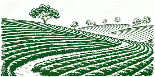 A serene landscape with rolling hills and a winding path leading to a distant forest Vector