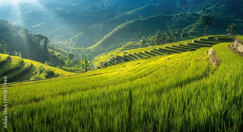 Bright morning highlights w...