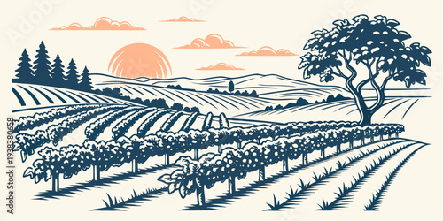 A picturesque vineyard at sunset with rolling hills and lush greenery Vector