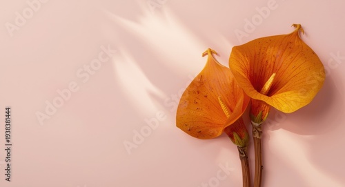 Autumnal still life flat la...