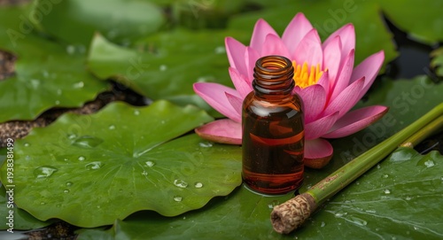 Aromatherapy setup with amb...