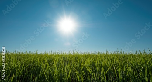 Brilliant sunny day with th...