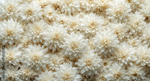 Detailed look at a mass of ...