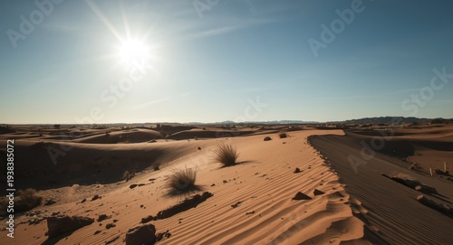 A harsh desert sun brighten...