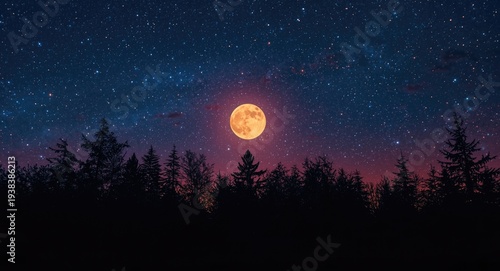 Silhouetted forest under a ...