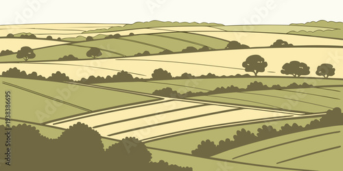 aerial view of a large vineyard with rows of crops Vector