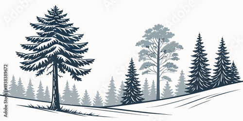 A serene forest landscape with tall trees and a clear sky in the background Vector