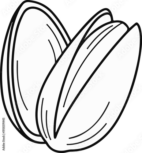Line art illustration of two pistachios with their shells slightly open