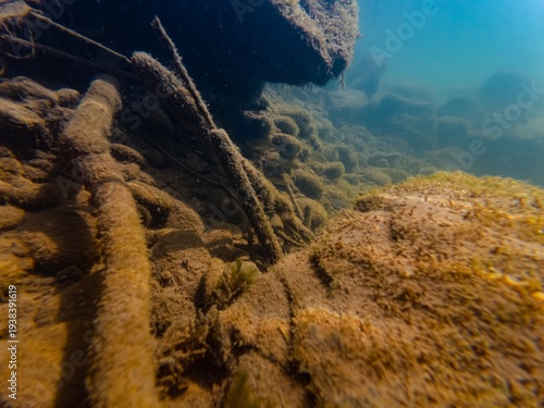 dwarf fish hide in stone aquascape, algae cover granite substrate, sunken twig driftwood, organic particle silt, alluvium sediment, shallow river Uzh in Uzhhorod, backlight sunshine, mental recreation