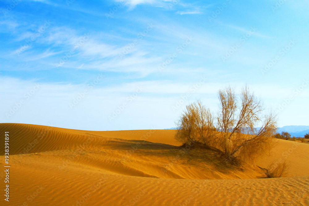 Fototapeta premium Desert view on a sunny day with beautiful blue sky. Landscape in dry nature feels relaxing and inspiring.