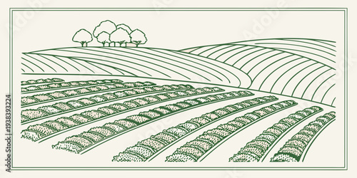 A serene landscape of rolling hills and a winding road under a clear blue sky Vector