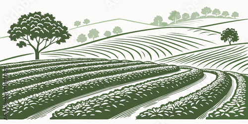 A serene landscape of rolling hills and lush greenery under a clear blue sky. Vector