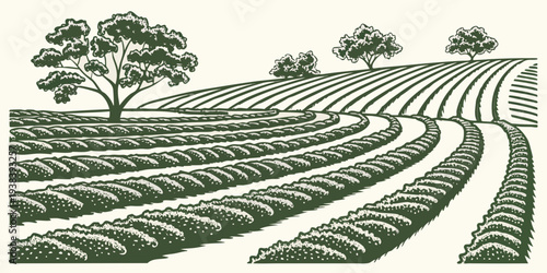 A serene landscape of neatly plowed farmland under a clear sky Vector