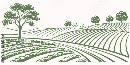 A vast agricultural landscape with rows of crops and scattered trees in the distance Vector
