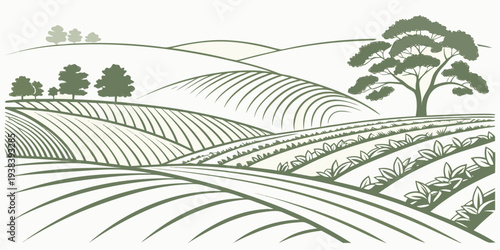 A serene landscape with rolling hills and a winding path in the countryside Vector