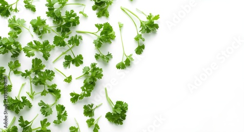 Scattered fresh parsley on ...