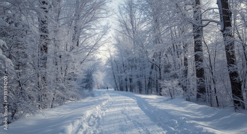Beautiful winter scene with...