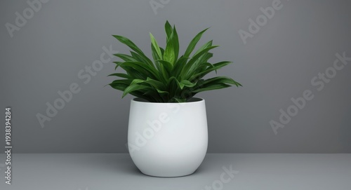 A green plant flourishing i...