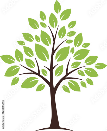 Vector illustration of plant growth stages, from seedling sprout to leafy green tree