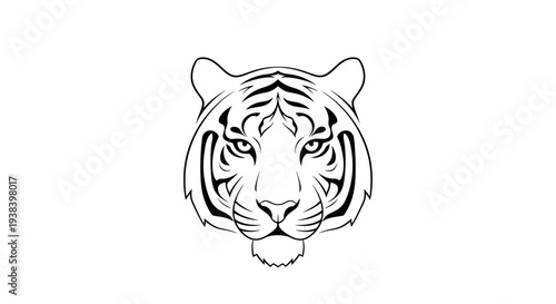 White Tiger Head Illustration Detailed Portrait.