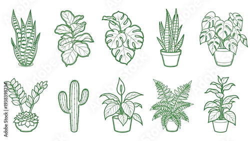 Green Indoor Plant Sketch Set – Thick Outline Botanical Houseplants Collection Isolated on White Background