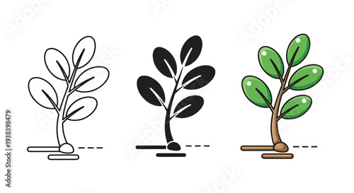 Growing plant stages vector icon set - SVG and PNG icons - Vector Icons and Stickers - PNG, SVG, EPS - Glyph and solid icon set - Icon vector - Icon Silhouette - Clipart