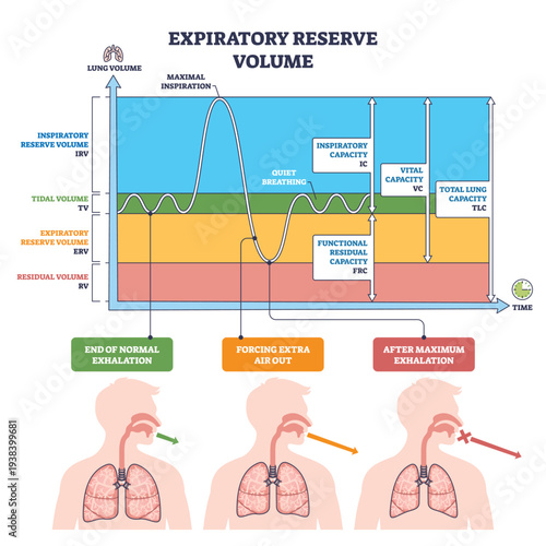 Expiratory reserve volume illustrated, spirometry graph with lungs and arrows shows extra air exhaled after normal breath and how ERV fits among lung capacities. Outline diagram