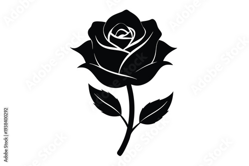Rose, Black Floral Silhouette