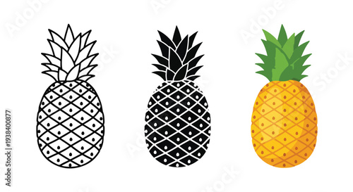 Pineapple icon set vector tropical fruit - Clipart, logo template - Vector icon set - Glyph and solid icon set - Icon vector - Flat Design Icon - line icon set - Silhouette icon - Logo vector