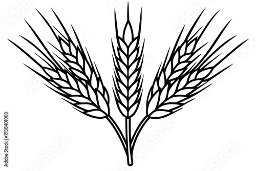 Wheat Ears, Cereal Crop