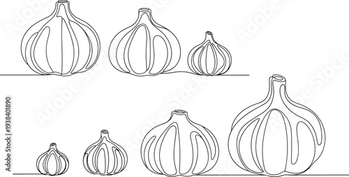 Garlic line art illustration set. Whole garlic bulbs outline drawings isolated on transparent background. Minimal vegetable sketch collection for cooking design, organic farm food concept.