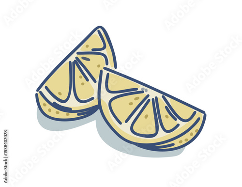 Lemon slices. Vector isolated hand drawn illustration