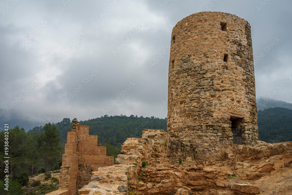 Naklejka premium Castillo de Ain