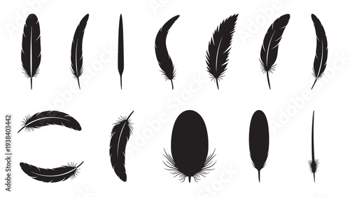 Feathers collection with varied shapes and sizes in black silhouette, artistic graphic design elements.