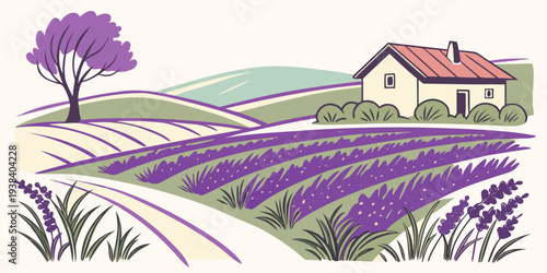 A picturesque view of a lavender field with a quaint house in the background Vector