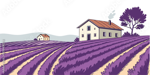 A picturesque lavender field with a charming farmhouse in the background Vector