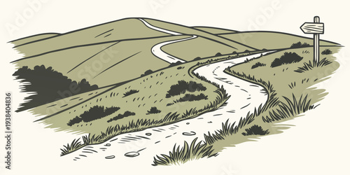 Aerial view of a lush green park with winding paths and a small pond. Vector