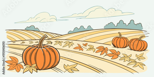 A serene landscape of pumpkins growing in a vast field under a clear sky Vector