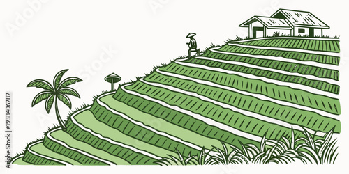 A picturesque landscape of terraced fields with a small house and palm trees Vector