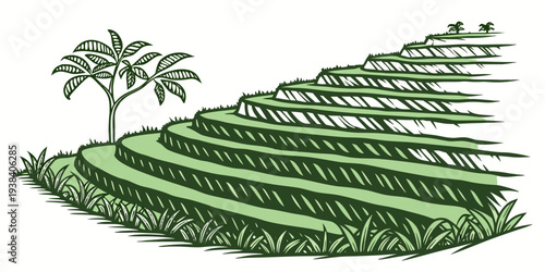 A beautifully designed terraced garden with lush greenery and trees Vector