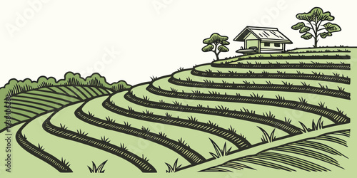 A picturesque view of terraced fields stretching into the distance Vector