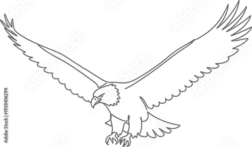 Single continuous line art drawing of a majestic flying eagle on white background