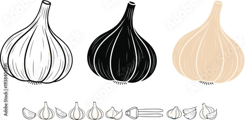 Garlic bulb vector illustration set. Black, outline and golden colour garlic icons with small garlic pieces. Organic cooking ingredient graphics for kitchen design and healthy food concept.