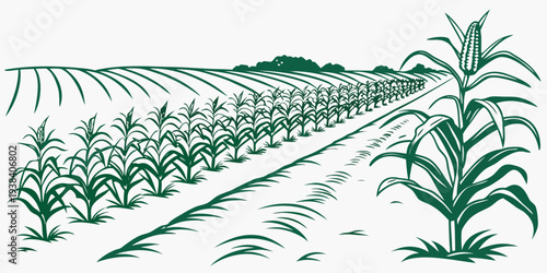 A serene field of crops with a winding path leading to a distant horizon. Vector