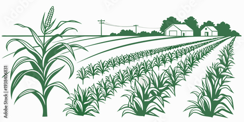 A detailed illustration of a farm field with various crops and agricultural tools Vector
