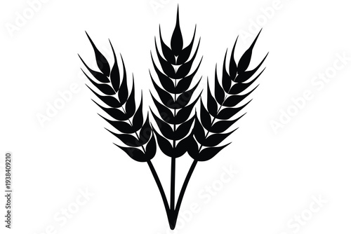 Wheat, Cereal Grain Icon