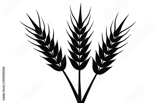 Wheat, Cereal Grains Silhouette Icon