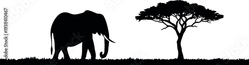 Silhouette of Elephant and Acacia: A striking silhouette of an elephant majestically walks past a solitary acacia tree, set against a backdrop of the African savannah.