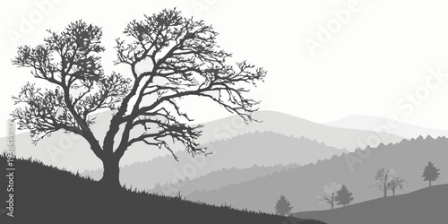 A serene landscape with a lone tree standing tall on a hill overlooking a valley Vector